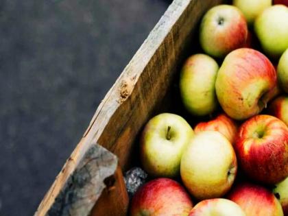 Health benefits and side effects of fiber, symptoms of deficiency, fiber supplement, fibers foods in Hindi | धीरे-धीरे आपको बवासीर, खून की कमी, डायरिया जैसे 10 रोगों का मरीज बना सकता है ये पोषक तत्व Health benefits and side effects of fiber, symptoms of deficiency, fiber supplement, fibers foods in Hindi | धीरे-धीरे आपको बवासीर, खून की कमी, डायरिया जैसे 10 रोगों का मरीज बना सकता है ये पोषक तत्व