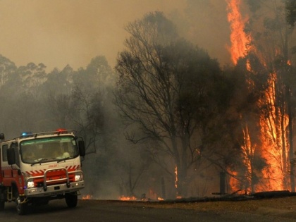 CEEW Study alerts about Forest Fires in India | भारत के 30 प्रतिशत से ज्यादा जिलों में जंगल में भीषण आग लगने का खतरा: सीईईडब्ल्यू