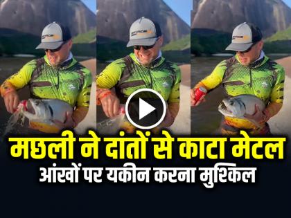 Fish bites Metal can Video Goes Viral on Social Media | VIDEO: मछली ने दांतों से काटा मेटल कैन, आंखों पर यकीन करना मुश्किल, देखें वायरल वीडियो Fish bites Metal can Video Goes Viral on Social Media | VIDEO: मछली ने दांतों से काटा मेटल कैन, आंखों पर यकीन करना मुश्किल, देखें वायरल वीडियो
