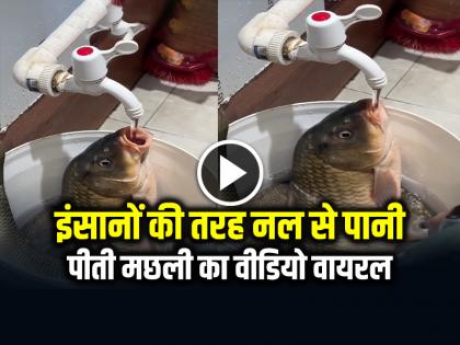 Fish Drink Water Like Humans Video Goes Viral | VIRAL: इंसानों की तरह नल से पानी पीती मछली का वीडियो वायरल, हैरान हुए लोग