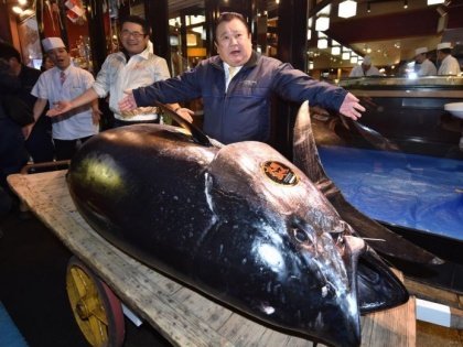 Japan's new fish market Record $4 million paid in New Year | वायरल: 21 करोड़ में बिकी ये मछली, जानें आखिर क्यों है इतनी मंहगी?