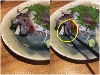 Fish served at japanese restaurant suddenly alive bites customer chopstick viral video | देखें वीडियो: जापान के एक रेस्तरां में ग्राहक को परोसी गई मछली अचानक हो गई जिंदा, काटने लगी खाने की चम्मच
