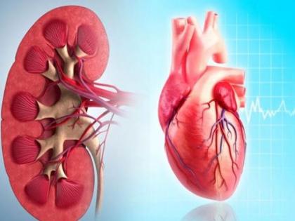 potassium rich foods: include these 20 potassium rich foods in your diet to healthy and strong heart and kidneys | potassium rich foods: दिल और किडनियों को स्वस्थ और मजबूत रखने के लिए खाएं पोटैशियम से भरपूर 20 चीजें potassium rich foods: include these 20 potassium rich foods in your diet to healthy and strong heart and kidneys | potassium rich foods: दिल और किडनियों को स्वस्थ और मजबूत रखने के लिए खाएं पोटैशियम से भरपूर 20 चीजें