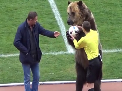 russian football league under controversy after a beer used for performance before match | वीडियो: फुटबॉल मैच में भालू को उतारा मैदान पर, अब दुनिया भर में हो रही है आलोचना