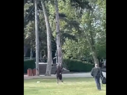France nife attack on children in a park in France 9 people including 8 innocents injured | फ्रांस के एक पार्क में बच्चों पर चाकू से हमला, 8 मासूमों समेत 9 लोग जख्मी