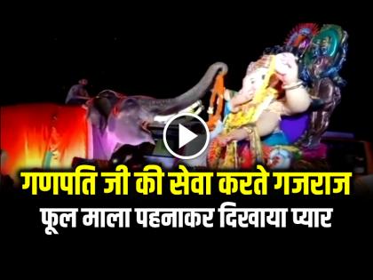 Gajraj serving Ganpati Ji shows love by putting a flower video viral | VIDEO: गणपति जी की सेवा करते गजराज का वीडियो वायरल, फूल माला पहनाकर दिखाया प्यार... Gajraj serving Ganpati Ji shows love by putting a flower video viral | VIDEO: गणपति जी की सेवा करते गजराज का वीडियो वायरल, फूल माला पहनाकर दिखाया प्यार...