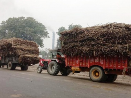 Farmers of Uttar Pradesh have to wait long to get sugarcane weighed | उत्तर प्रदेश के किसानों को गन्ना तुलवाने के लिए करना पड़ रहा है लंबा इंतजार, जानें परेशान किसानों ने क्या कहा