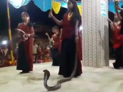 Garba holding cobras event two women and one girl arrested | गुजरात: हाथ में सांप लेकर गरबा करने का वीडिया वायरल होने के बाद हरकत में वन विभाग, तीन गिरफ्तार