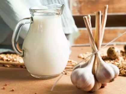 garlic milk benefits for weight loss, sex problems like erectile dysfunction, diabetes, piles and constipation in Hindi | डायबिटीज, खूनी बवासीर का काल है लहसुन का दूध, यौन समस्या शीघ्रपतन को भी कर सकता है खत्म