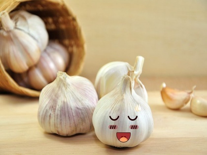 diet tips health benefits of garlic for Kids | बच्चे को रोजाना इतनी मात्रा में खिलाएं लहसुन, बीमारियों से रहेगा कोसों दूर