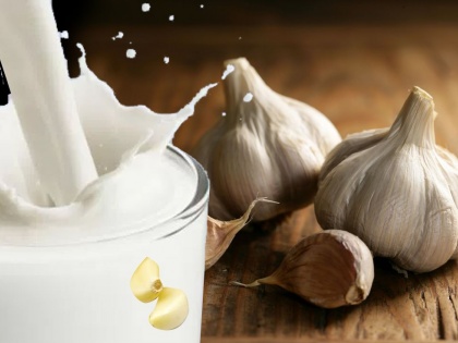 garlic milk benefits in ayurveda : drink garlic milk to get rid constipation, cholesterol, arthritis, sciatica, acidity, cancer and boost immunity system | Diet tips: कोरोना काल में जरूर पियें लहसुन वाला दूध, इम्यूनिटी होगी मजबूत, नसों और आंतों में जमा गंदगी होगी साफ