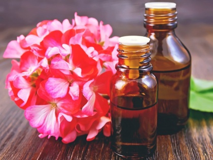 What is Geranium oil, benefits, uses, home remedies of geranium oil to get rid of wrinkles, dark spots, skin aging, dull skin | 10 दिन चेहरे पर लगाएं 'जिरेनियम तेल', 11वें दिन त्वचा को मिलेंगे ये 4 फायदे