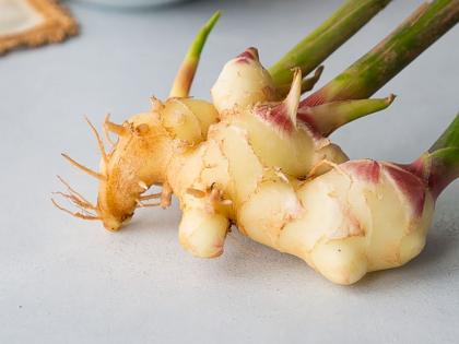 Using Ginger in these ways can reduce bad cholesterol and triglycerides, know method | इन तरीकों से अदरक का उपयोग कर कम कर सकते हैं खराब कोलेस्ट्रॉल और ट्राइग्लिसराइड्स, जानें विधि Using Ginger in these ways can reduce bad cholesterol and triglycerides, know method | इन तरीकों से अदरक का उपयोग कर कम कर सकते हैं खराब कोलेस्ट्रॉल और ट्राइग्लिसराइड्स, जानें विधि