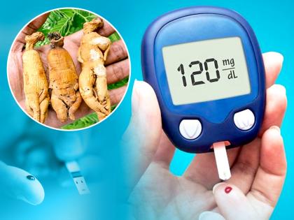 कैंसर, डायबिटीज जैसी कई बीमारियों से यह जड़ी बूटी दिलाती है राहत, तस्वीरों में जाने इसके फायदे