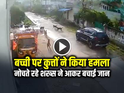 Girl was Attacked by Dogs, Man Came to her Rescue Watch Video | WATCH: बच्ची पर कुत्तों ने किया हमला, नोचते रहे, शख्स ने आकर बचाई जान, देखें वीडियो Girl was Attacked by Dogs, Man Came to her Rescue Watch Video | WATCH: बच्ची पर कुत्तों ने किया हमला, नोचते रहे, शख्स ने आकर बचाई जान, देखें वीडियो