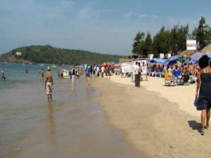 Marine life in danger due to oil spill in oceans | ब्लॉग: तेल रिसाव के कारण खतरे में पड़ता समुद्री जीव-जगत Marine life in danger due to oil spill in oceans | ब्लॉग: तेल रिसाव के कारण खतरे में पड़ता समुद्री जीव-जगत