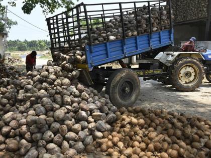 Minimum Support Price Government hikes copra MSP by up to ₹420 to ₹12100 per quintal 2025 budget outlay ₹855 crore Prime Minister Narendra Modi | Minimum Support Price: धरने पर किसान और सरकार ने की राहत की बौछार?, एमएसपी में 422 रुपये की वृद्धि, मोदी सरकार ने 12,100 रुपये प्रति क्विंटल किया