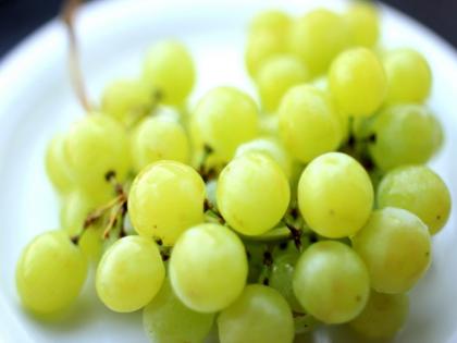 grapes can act as a natural remedy to fight depression | तनाव और बेचैनी से रहना है दूर तो रोजाना खाएं अंगूर