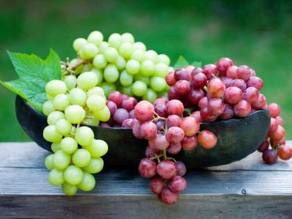 Health benefits of Grapes: angoor khane ke fayde, nutrition of grapes, grapes calories, angoor ke ras ke fayde, angoor ke sirke ke fayde red grapes health benefits in Hindi | angoor ke fayde: पोषक तत्वों का खजाना है अंगूर, सिर से लेकर पैर तक 10 बीमारियों से करता है बचाव