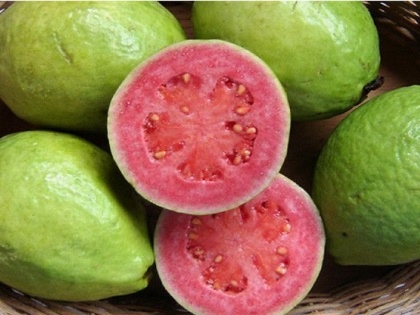 Amrood ke fayde: amrud khane ke fayde, amrud benefits, Guava health benefits in Hindi, guava nutritional value, Guava ke fayde in Hindi | Amrood ke fayde: पोषक तत्वों का भंडार है सस्ता फल अमरूद, पेट को मजबूत बनाकर 10 बीमारियों से करता है बचाव