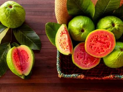 Diet tips: 5 types of people who should be careful about eating Guava, side effects of and nutrition fact of guava in Hindi | Diet tips: इन 5 तरह के लोगों को नहीं खाना चाहिए अमरूद, कई गंभीर बीमारियों का खतरा Diet tips: 5 types of people who should be careful about eating Guava, side effects of and nutrition fact of guava in Hindi | Diet tips: इन 5 तरह के लोगों को नहीं खाना चाहिए अमरूद, कई गंभीर बीमारियों का खतरा