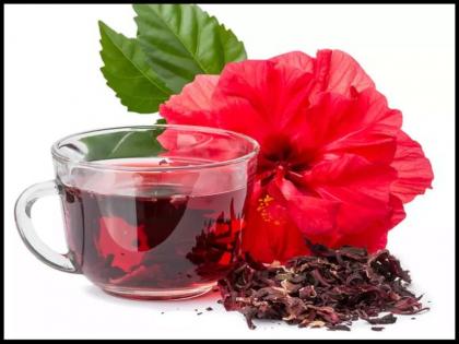 hibiscus tea benefits for high blood pressure, weight loss, hypertension, cancer, cholesterol | डायबिटीज, कैंसर, मोटापा, कोलेस्ट्रॉल, हाइपरटेंशन का काल है इस लाल रंग के फूल की चाय