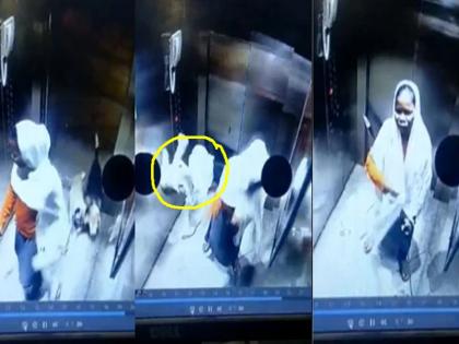 Gurugram Video of maid lifting and throwing dog in lift went viral dog rescued after complaint | गुरुग्राम: नौकरानी द्वारा कुत्ते को लिफ्ट में उठा-उठाकर पटकने का वीडियो हुआ वायरल, शिकायत के बाद ऐसे हुआ डॉगी का रेस्क्यू