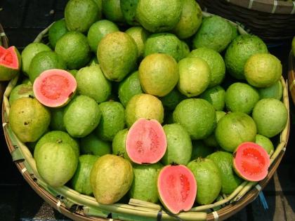Guava Festival: Try different types of Guava | अमरुद महोत्सव में चखिए 15 तरह के अमरूदों का स्वाद और जानिए Guava Festival: Try different types of Guava | अमरुद महोत्सव में चखिए 15 तरह के अमरूदों का स्वाद और जानिए