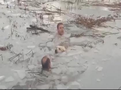 spanish police rescued and shared dog video from very icy and cold water video viral in social media | बर्फीले जलाशय में गिरा कुत्ता, बचाने के लिए कूद पड़े दो पुलिस अधिकारी; इंटरनेट पर लोगों ने दी बहादुरी की दाद spanish police rescued and shared dog video from very icy and cold water video viral in social media | बर्फीले जलाशय में गिरा कुत्ता, बचाने के लिए कूद पड़े दो पुलिस अधिकारी; इंटरनेट पर लोगों ने दी बहादुरी की दाद