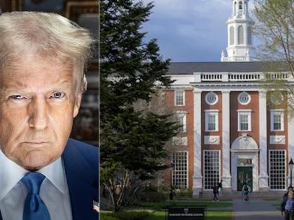 harvard university Starting Behave Donald Trump Student Visa Row Harvard University age 389 admire Harvard's courage blog vikash mishra | harvard university: उम्र के 389 वें पड़ाव पर हार्वर्ड विश्वविद्यालय?, हिम्मत की दाद देनी होगी! harvard university Starting Behave Donald Trump Student Visa Row Harvard University age 389 admire Harvard's courage blog vikash mishra | harvard university: उम्र के 389 वें पड़ाव पर हार्वर्ड विश्वविद्यालय?, हिम्मत की दाद देनी होगी!