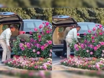 Haryana Pots planted in Gurugram for G20 conference stolen man seen carrying saplings in luxury car video viral | हरियाणा: जी20 सम्मेलन के लिए गुरुग्राम में लगाए गए गमलों की चोरी, लक्जरी कार में पौधे ले जाता दिखा शख्स; वीडियो वायरल