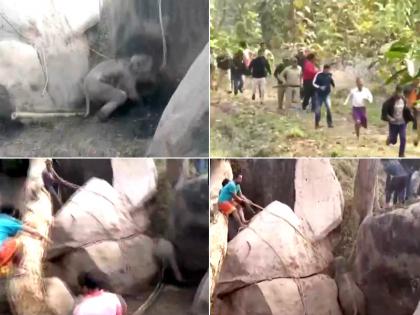Watch Videorescued an elephant calf stuck between boulders mother of the calf reached & chased away the people present there | Video: चट्टानों के बीच फंसे हाथी के बच्चे को निकालते ही आई गई हथिनी, देखें आगे क्या हुआ Watch Videorescued an elephant calf stuck between boulders mother of the calf reached & chased away the people present there | Video: चट्टानों के बीच फंसे हाथी के बच्चे को निकालते ही आई गई हथिनी, देखें आगे क्या हुआ
