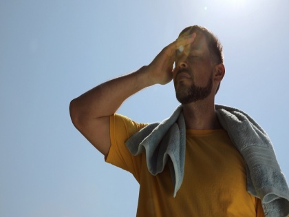 Ayurvedic Remedies for Preventing Sun Stroke: How to avoid heat stroke, know the effective remedies of Ayurveda | Ayurvedic Remedies for Preventing Sun Stroke: कैसे बचे 'लू' से, जानिए आयुर्वेद के कारगर नुस्खे
