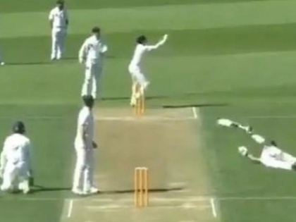 A Hilarious Run Out Witnesses In New Zealand, video goes viral | न्यूजीलैंड में दिखा 'मजेदार रन आउट' का नजारा, दोनों बल्लेबाज क्रीज के बाहर फिसले, एक हुआ रन आउट, देखें वीडियो
