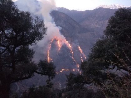 Himachal Pradesh: Forest fire breaks out in Chaura area of Kinnaur district | हिमाचल प्रदेश: चौरा इलाके के जंगल में लगी आग, तस्वीरें दहलाने वालीं