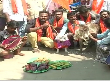 Valentines Day protest Bharat Hindu Front workers get a dog and a donkey married | वेलेंटाइन डे विरोधः कहीं लाठियां लेकर पहुंचे, तो कहीं कुत्ते-गधे की करा दी शादी