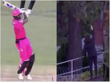 Jason Holder hits a first-ball six on his BBL debut ball gets stuck in a tree | BBL 2020: जेसन होल्डर ने जड़ा ऐसा छक्का कि पेड़ में जा अटकी गेंद, और फिर....