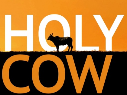 Film Review: holy cow film suraj kumar review | Film Review: दुखद सच्चाईयों को समेटती 'होली काऊ'