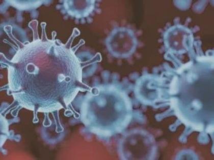 Human Metapneumovirus HMPV: भारत में पहला केस, 8 माह की बच्ची संक्रमित?, चीन में तेजी से फैल रहा HMPV