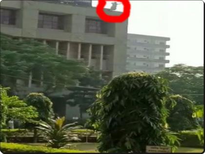 Watch video: Hurt by molesting and slapping by the accused, Vania jumped from the fourth garland of VV, died after 48 hours | देखें वीडियो: आरोपी द्वारा छेड़खानी-थप्पड़ मारने से आहत वानिया ने विवि के चौथी माला से लगाई छलांग, 48 घंटे बाद हुई मौत