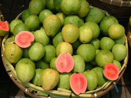 If you eat guava in winter do not throw its peels make this recipe use it like this | सर्दियों में अगर खाते है अमरूद तो नहीं फेंके उसके छिलके, बनाएं ये रेसिपी-ऐसे करें इसे इस्तेमाल