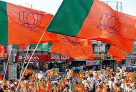 lok sabha election 2019 BJP's Muslim faces chose not to campaign on triple talaq plank | लोकसभा चुनावः भाजपा प्रत्याशी ने कहा कि, तीन तलाक चुनावी मुद्दा बनाने से अधिक लाभ नहीं हाेगा