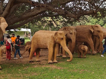Exhibition of 100 elephants held across Bengaluru to give message of peace | 'शांति' का संदेश देने के लिए 100 हाथियों की प्रदर्शनी पूरे बेंगलुरु में लगी