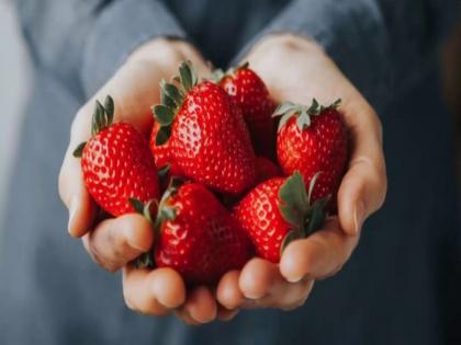 coronavirus diet plan: worst food and drinks that can weaken immunity system, foods to avoid during covid-19 virus | Covid-19 diet: जान प्यारी है तो तुरंत खाना-पीना छोड़ दें ये 8 चीजें, शरीर को खोखला करके इम्यून सिस्टम को कर देंगी कमजोर