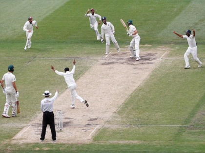 Australia vs India, 4th Test: Ricky Ponting slams Australia after Nathan Lyon opted not to review his lbw | India vs Australia: नाथन लायन के आउट होने पर भड़के रिकी पॉन्टिंग, ऑस्ट्रेलियाई टीम को लताड़ा