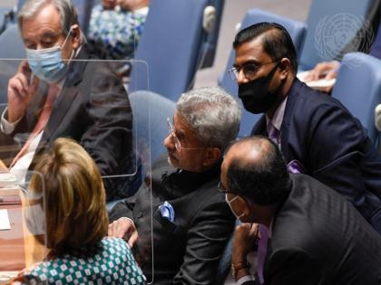 india external affairs minister jaishankar unsc briefing terrorism | भारतीय विदेश मंत्री जयशंकर ने UNSC में पाकिस्तान को घेरा, कहा- उनका स्वागत हो रहा है जिनके हाथ मासूमों के खून से रंगे हैं