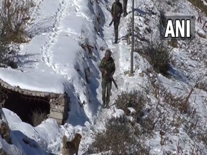 Indian Army not vacate border posts incidents Fallen Heroes continue LoC-LAC Due cold snowfall pak china | सर्दी और बर्फबारी के कारण एलओसी-एलएसी पर होती रहेगी 'फॉलन हीरोज' की घटनाएं, फिर भी भारतीय सेना नहीं खाली करेगी सीमा की चौकियां