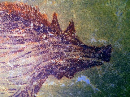 World’s oldest painting of animals discovered in Indonesian cave least 45500 years Pig Archaeologists  | इंडोनेशिया में गुफा के भीतर मिली दुनिया की सबसे पुरानी पेंटिंग, 45500 साल पहले जंगली सुअर की जानकारी मिली