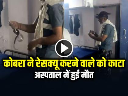 Indore Cobra snake bite rescue, he dies in hospital, watch video | VIDEO: कोबरा सांप ने रेसक्यू करने वाले को काटा, अस्पताल में हुई मौत, देखें वीडियो