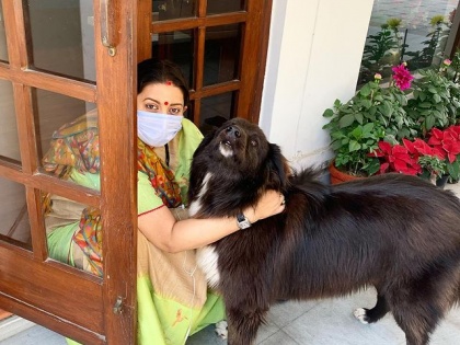 Union Minister Smriti Irani shared photo Instagram dog says when sadda kutta is not tommy but sheru funny caption | स्मृति ईरानी ने डॉग के साथ साझा की तस्वीर, इंस्टाग्राम पर मजेदार कैप्शन लिखा-"जब साडा कुत्ता, टॉमी नहीं शेरू है" 